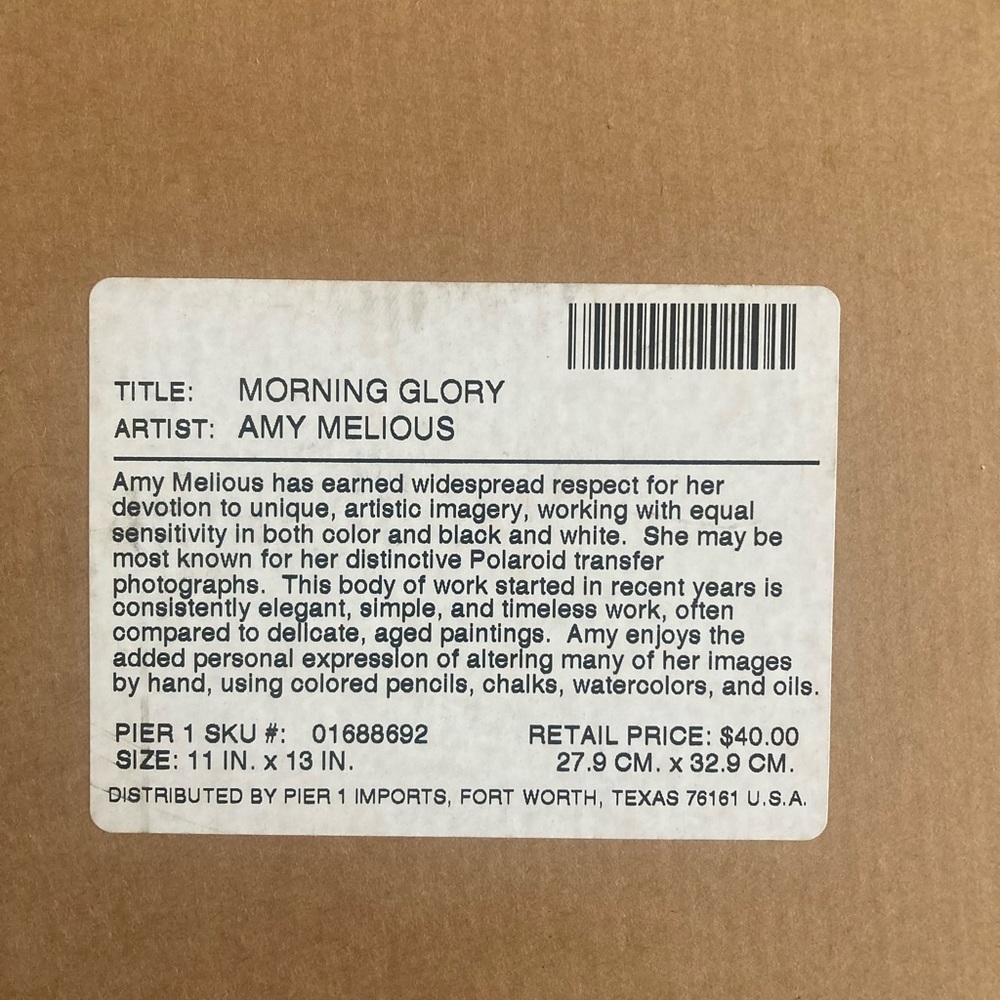 Elegant and evocative Pier 1 “Morning Glory” photo transfer - Picture 3 of 4